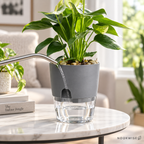 AquaBloom Self-Watering Plant Pot