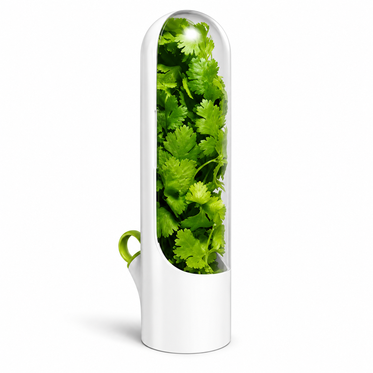 FreshStem Herb Keeper