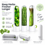 FreshStem Herb Keeper