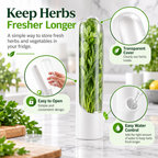 FreshStem Herb Keeper